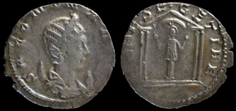 Salonina 5.jpg