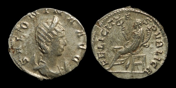 salonina 6.jpg