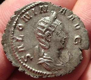 Salonina a.JPG