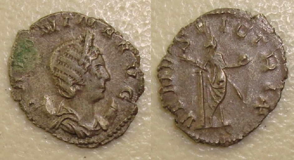 Salonina - Ant. VENUS behind Aug 2018.jpg