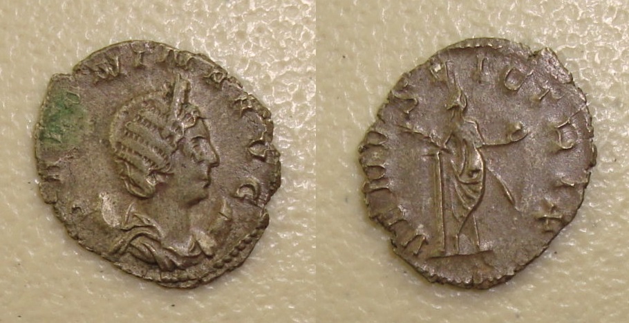 Salonina - Ant. VENUS behind Aug 2018.jpg