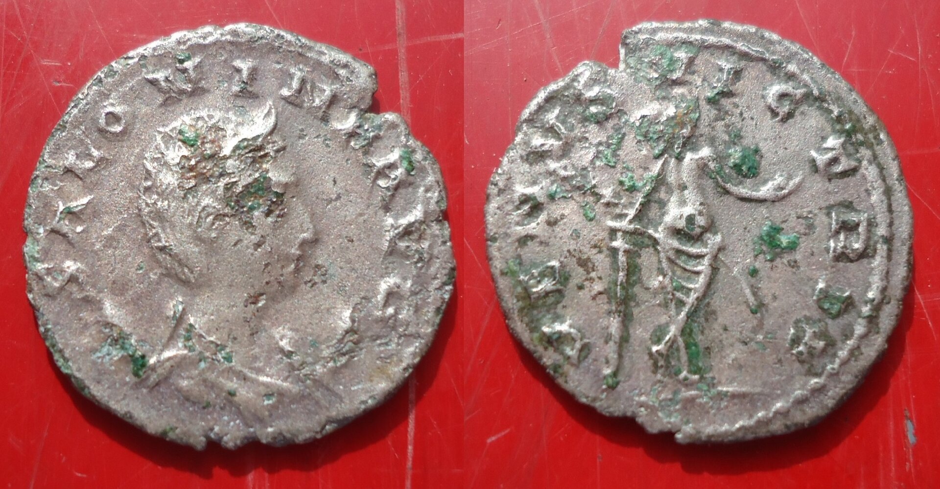 Salonina Ant Venus behind Mar 2018 (0).jpg