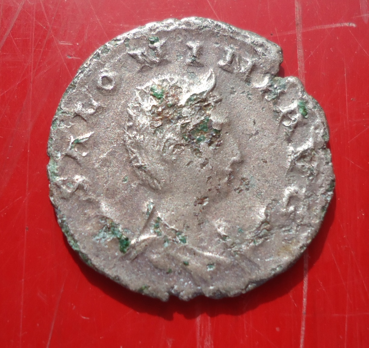 Salonina Ant Venus behind Mar 2018 (5).JPG