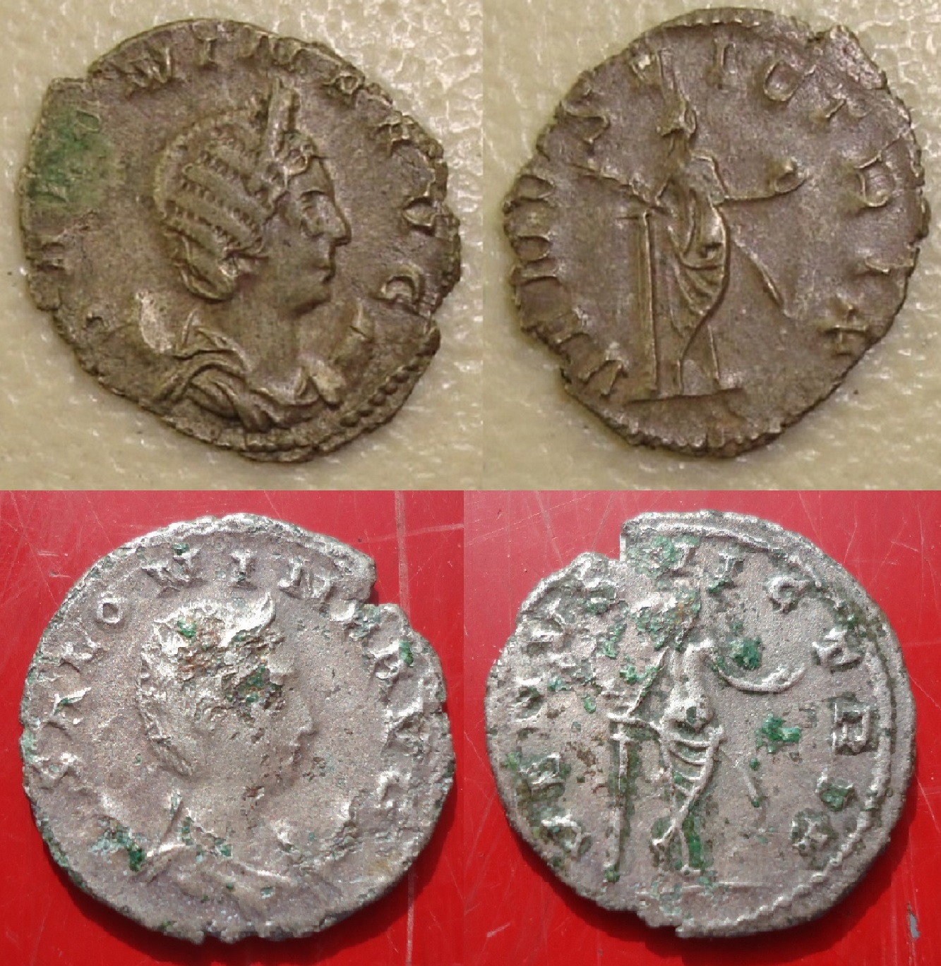 Salonina - Ant. VENUS behind Mar 2018 and Aug 2018.jpg