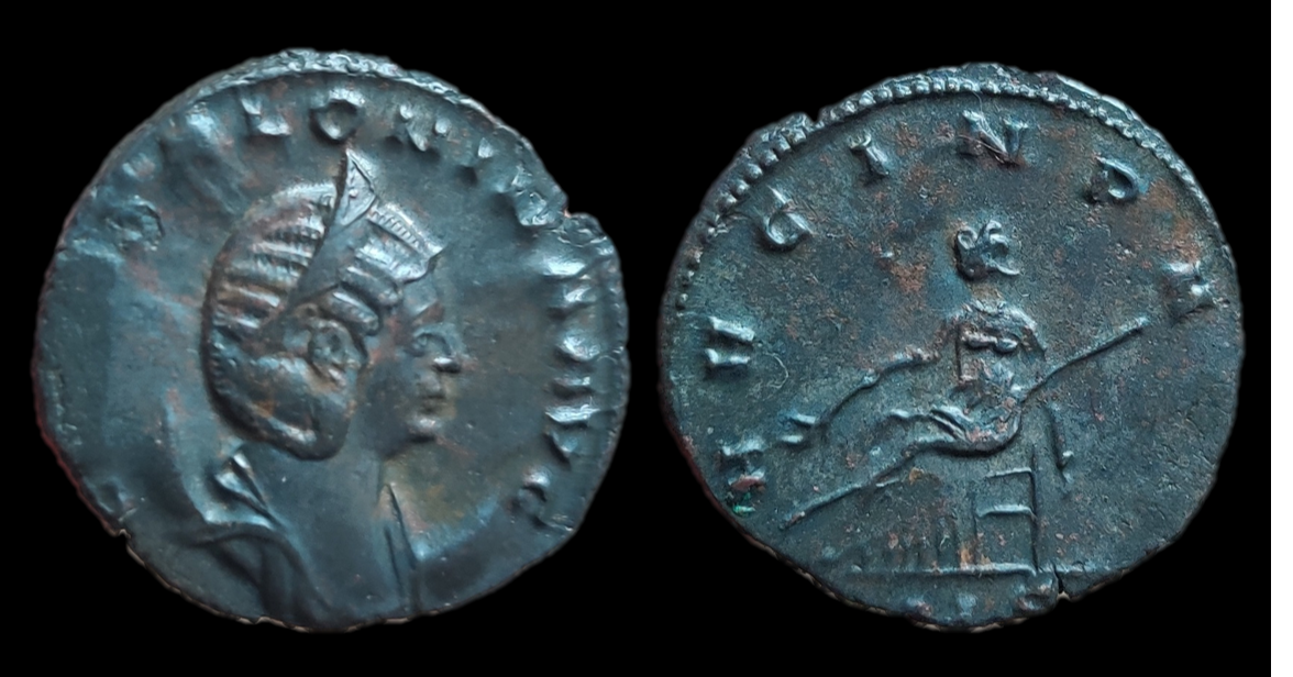 salonina avg in pace.png