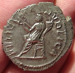 salonina b.JPG