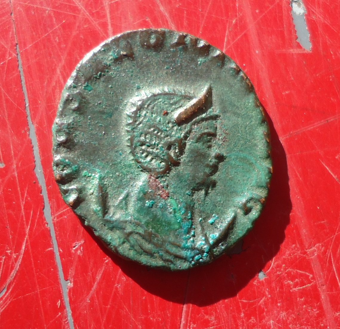 Salonina - Doe rev Feb 2018 (2).JPG