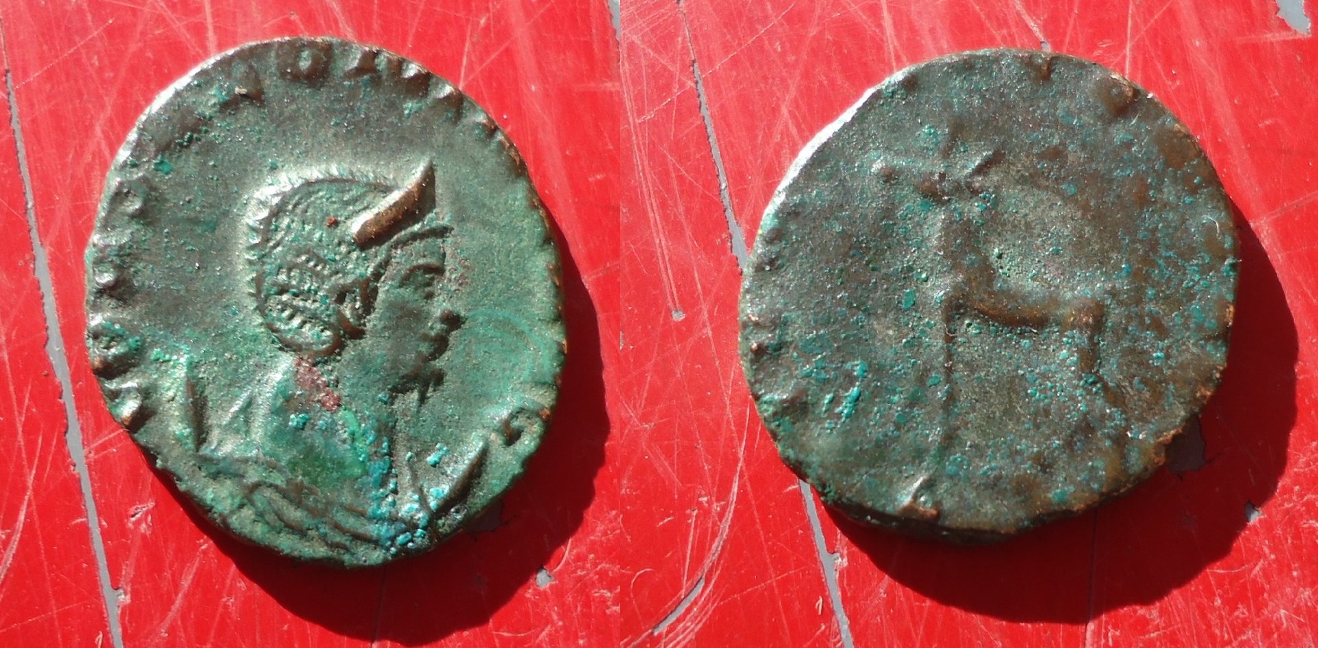 Salonina - Doe rev Feb 2018 (2).JPG