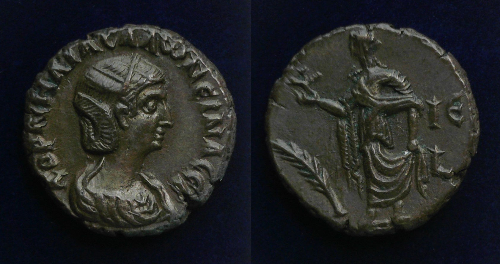 Salonina Elpis Alexandria.jpg