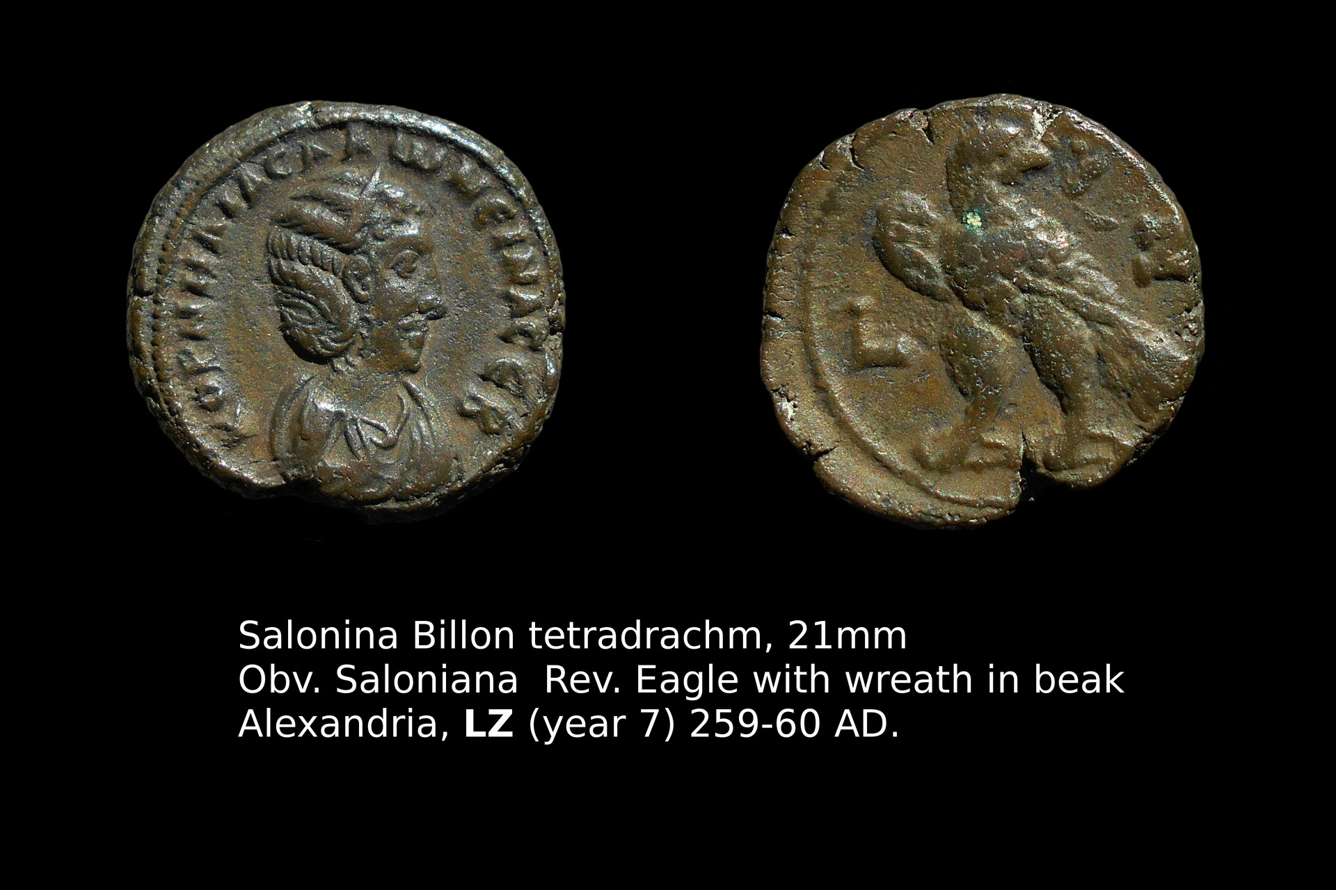 Salonina gimped.jpg