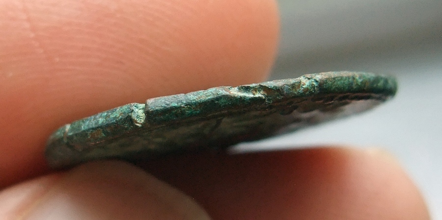 Salonina Ilium edge.jpg