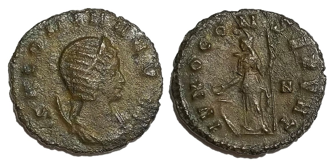 Salonina IVNO CONSERVAT.jpg