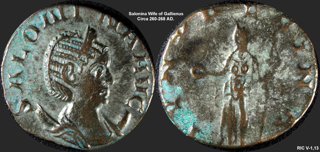 Salonina.jpg