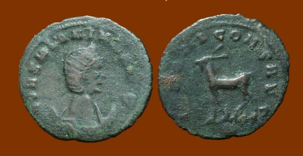 Salonina.jpg