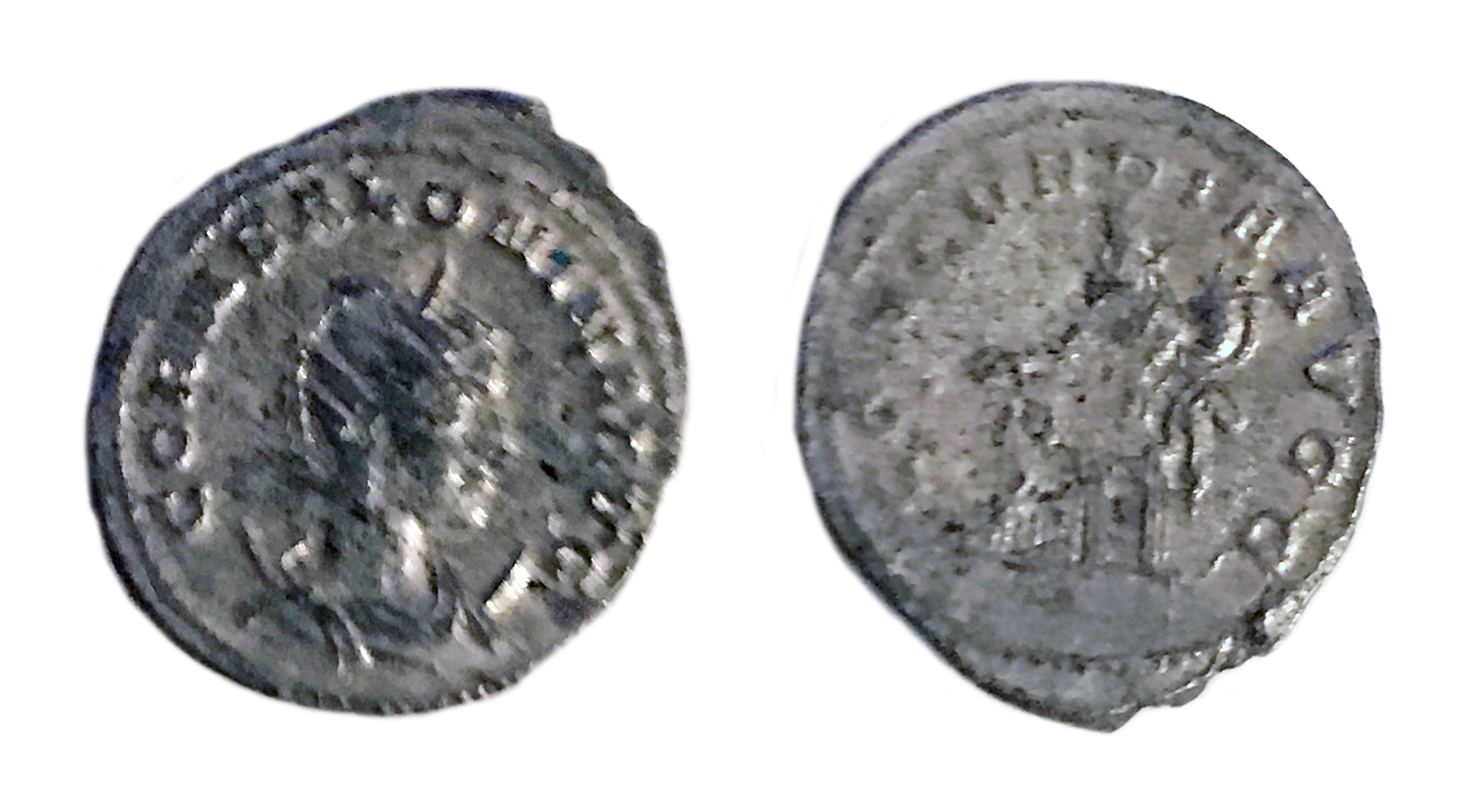 Salonina.jpg