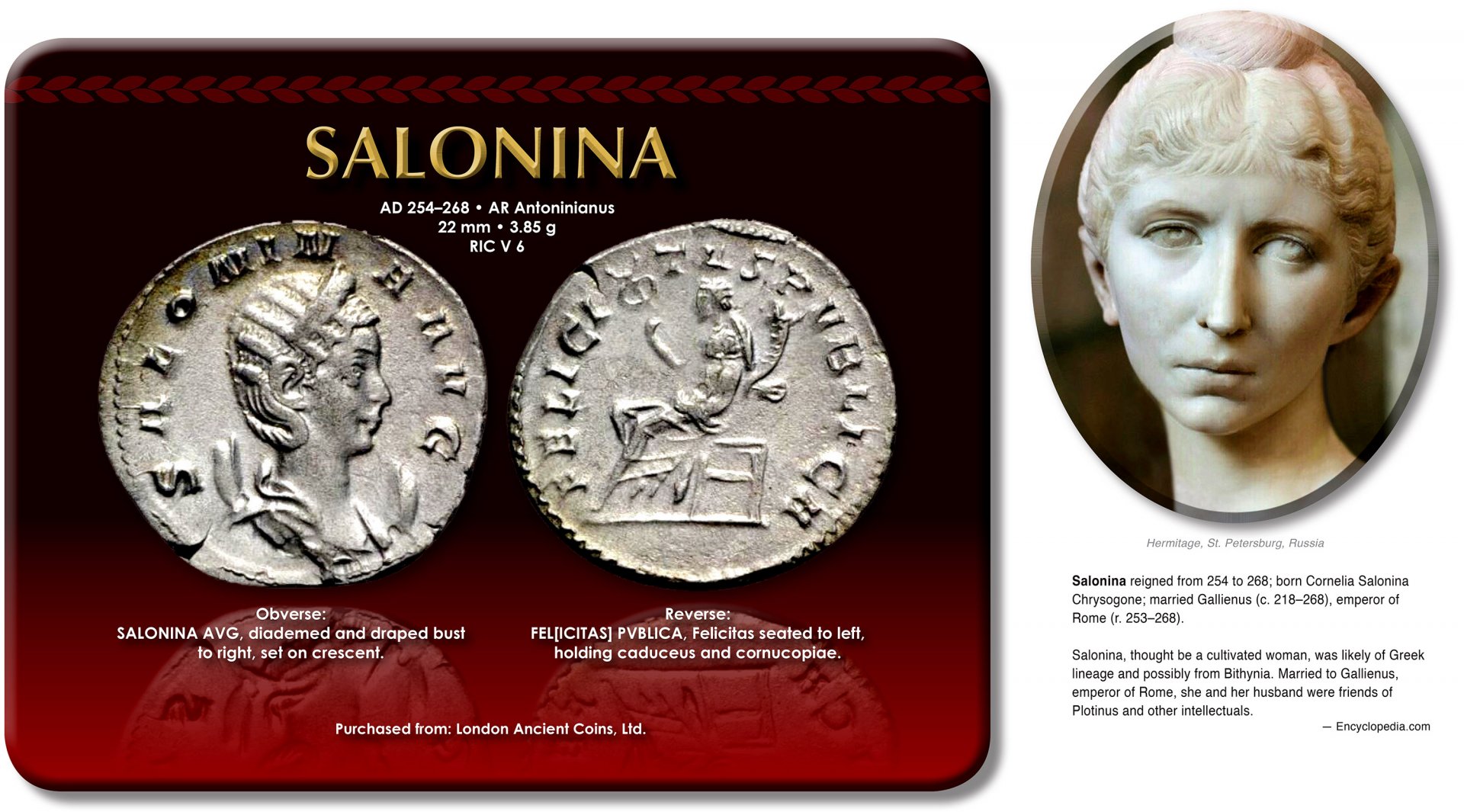 salonina.jpg