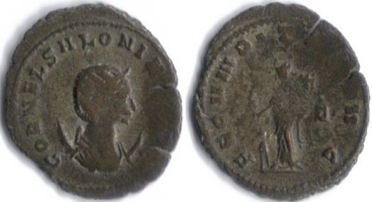 salonina.jpg