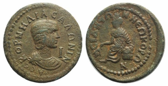 salonina.jpg