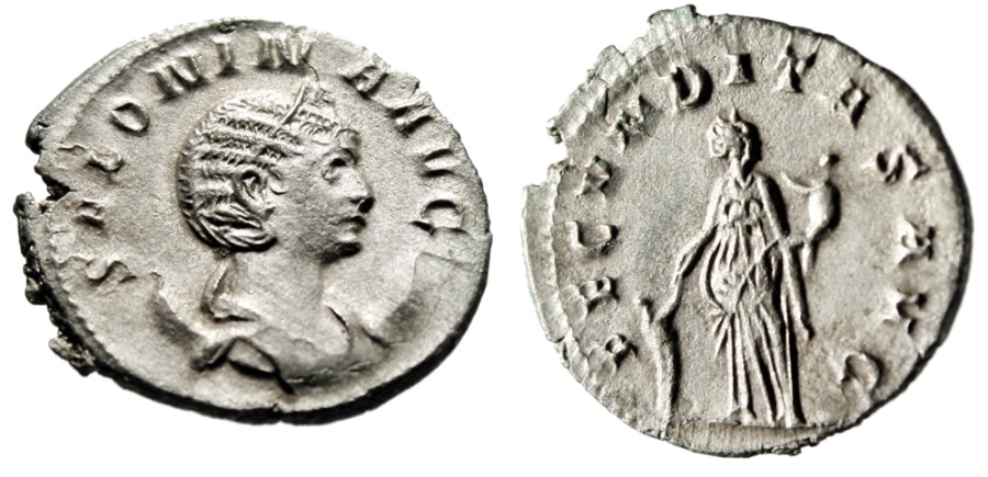 Salonina.jpg