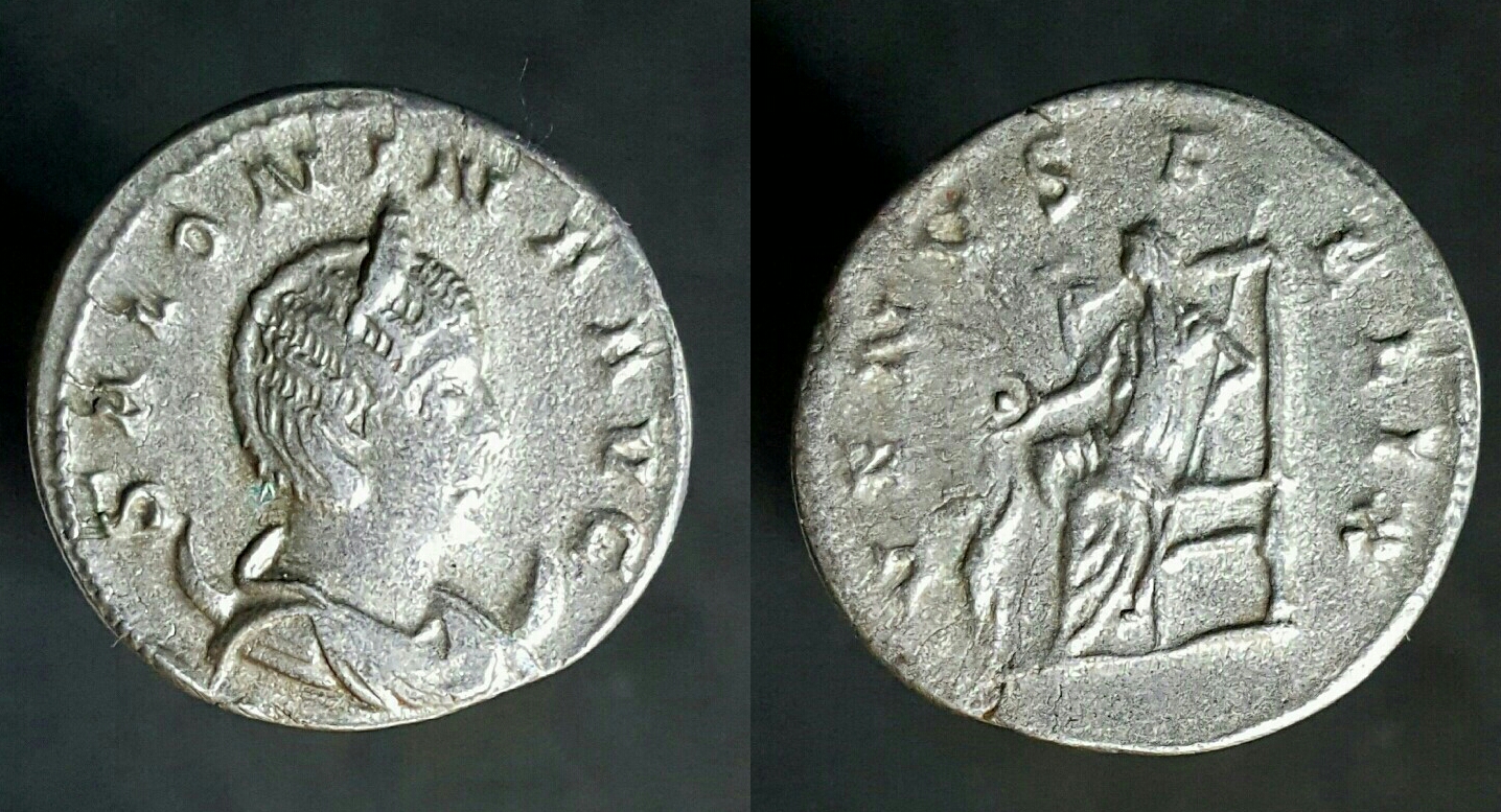 Salonina.jpg
