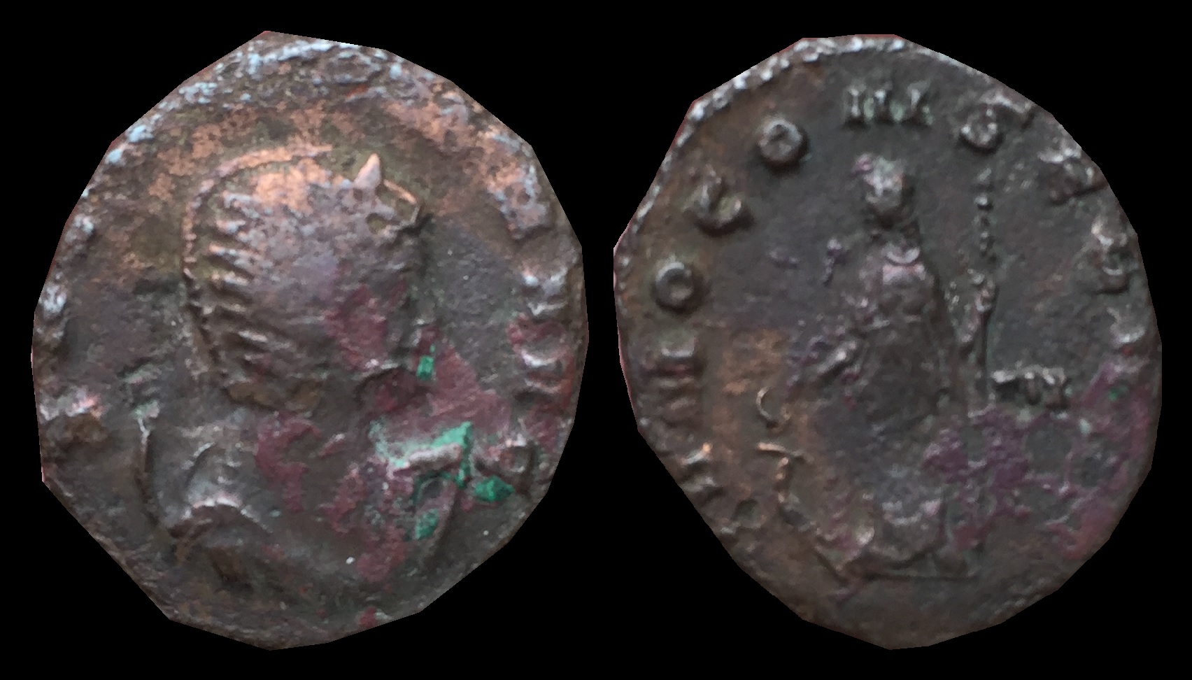 Salonina.jpg