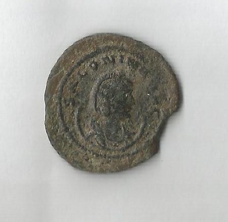 Salonina O.jpg
