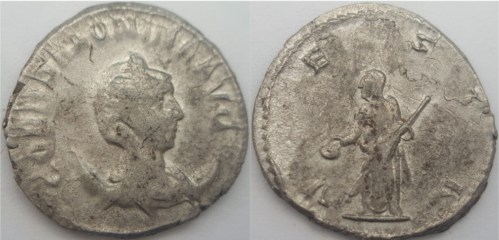 Salonina.png