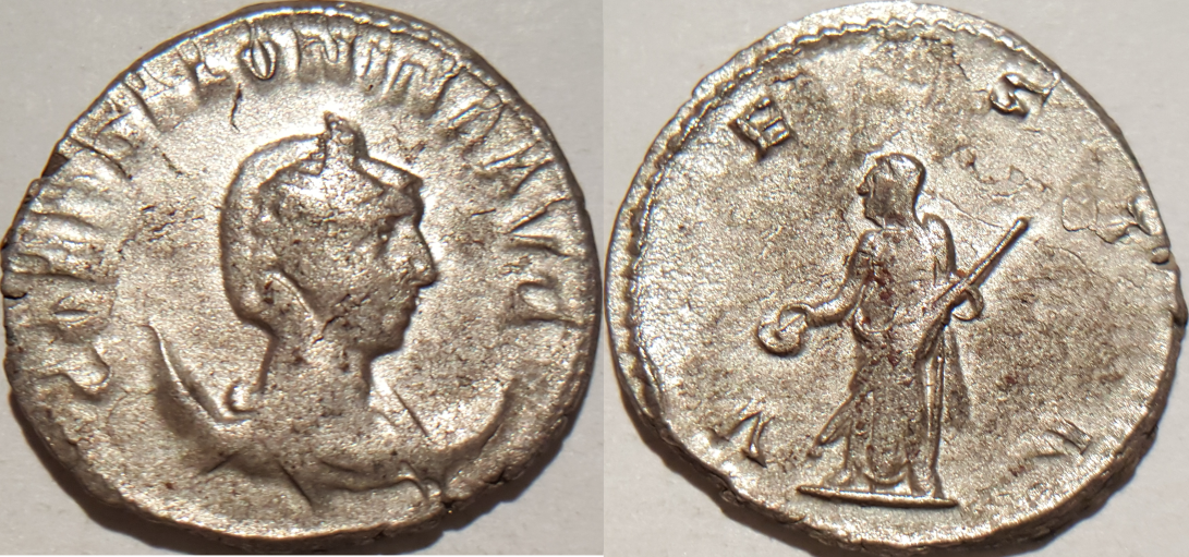 Salonina.png