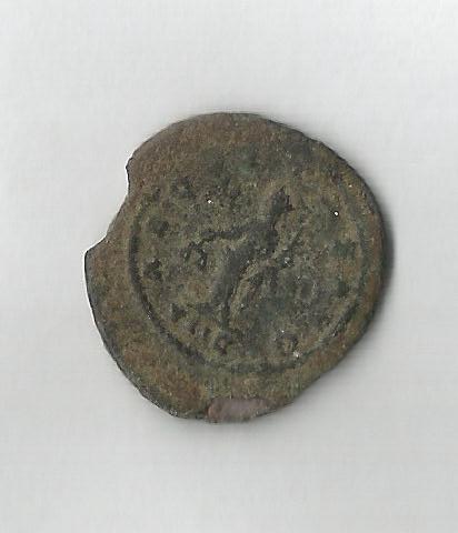 Salonina R      ANT-ant.jpg
