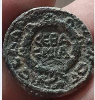 Salonina R      Damas.JPG