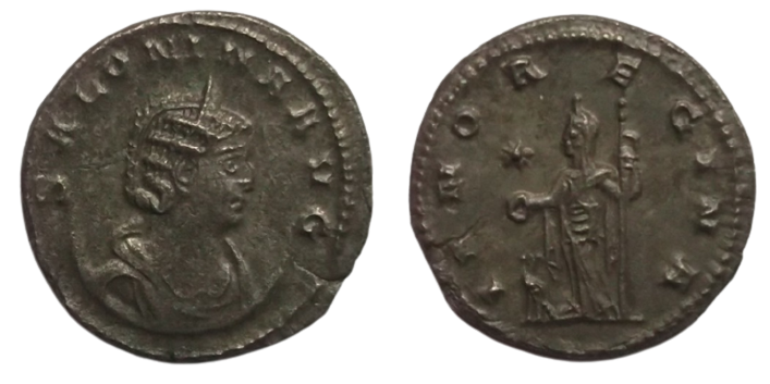 Salonina-removebg-preview.png
