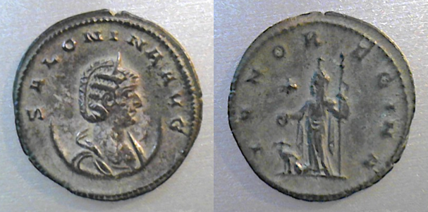 Salonina secret saturanlia.png