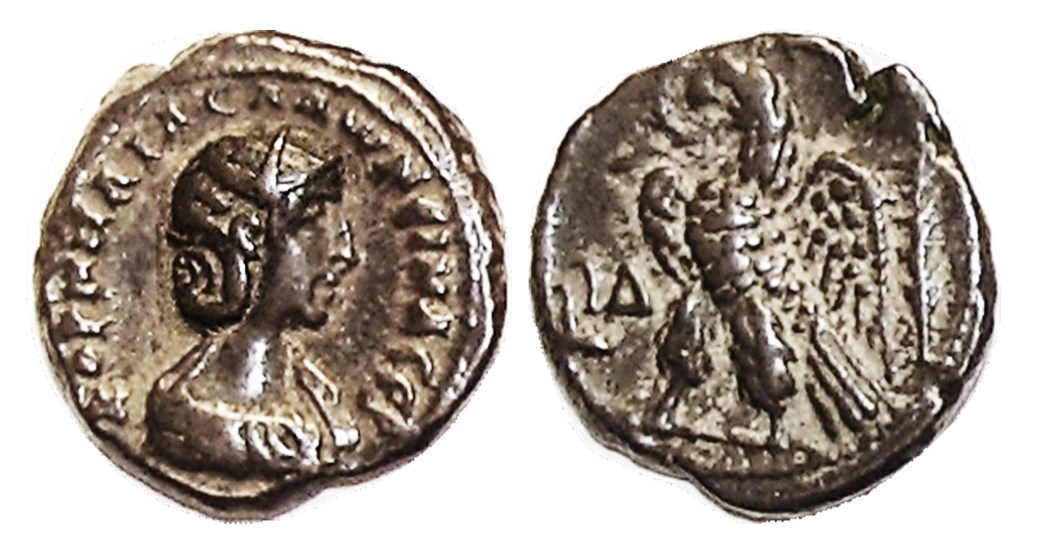 Salonina Tet.jpg