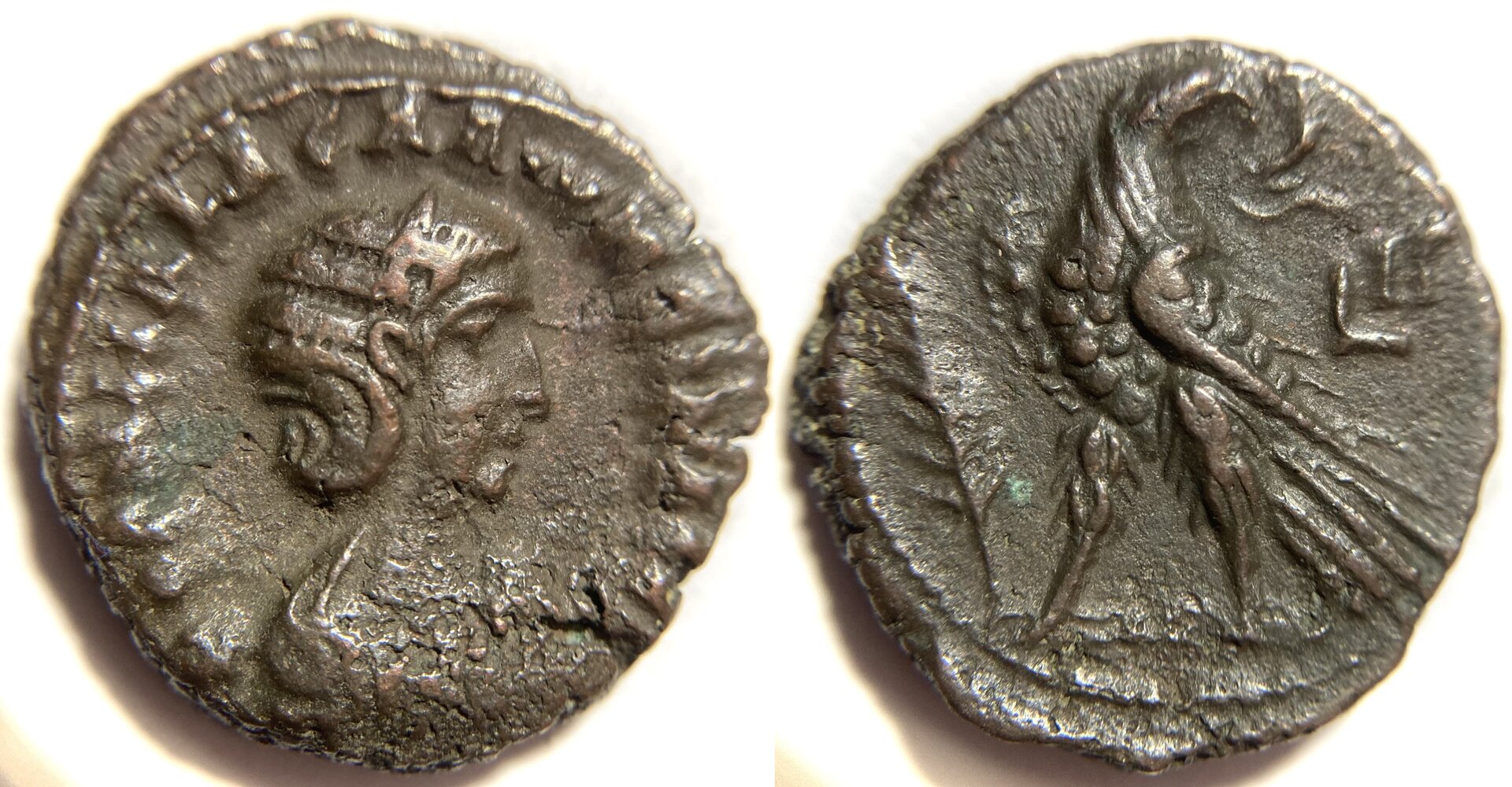 Salonina Tetradrachm Milne 4122.JPG