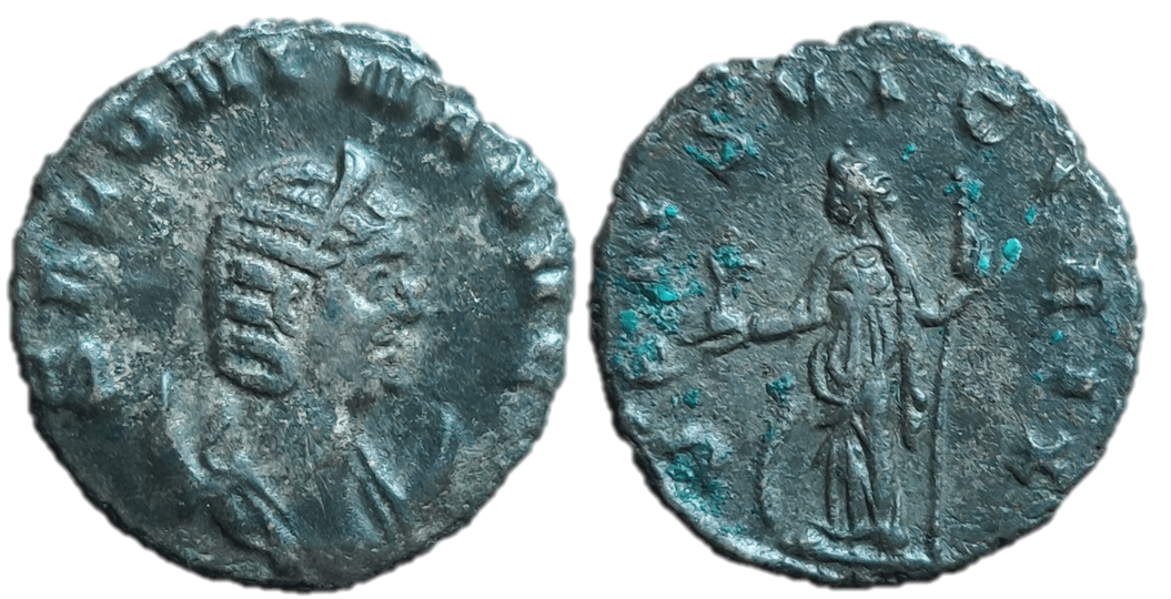 salonina vens victrix.png