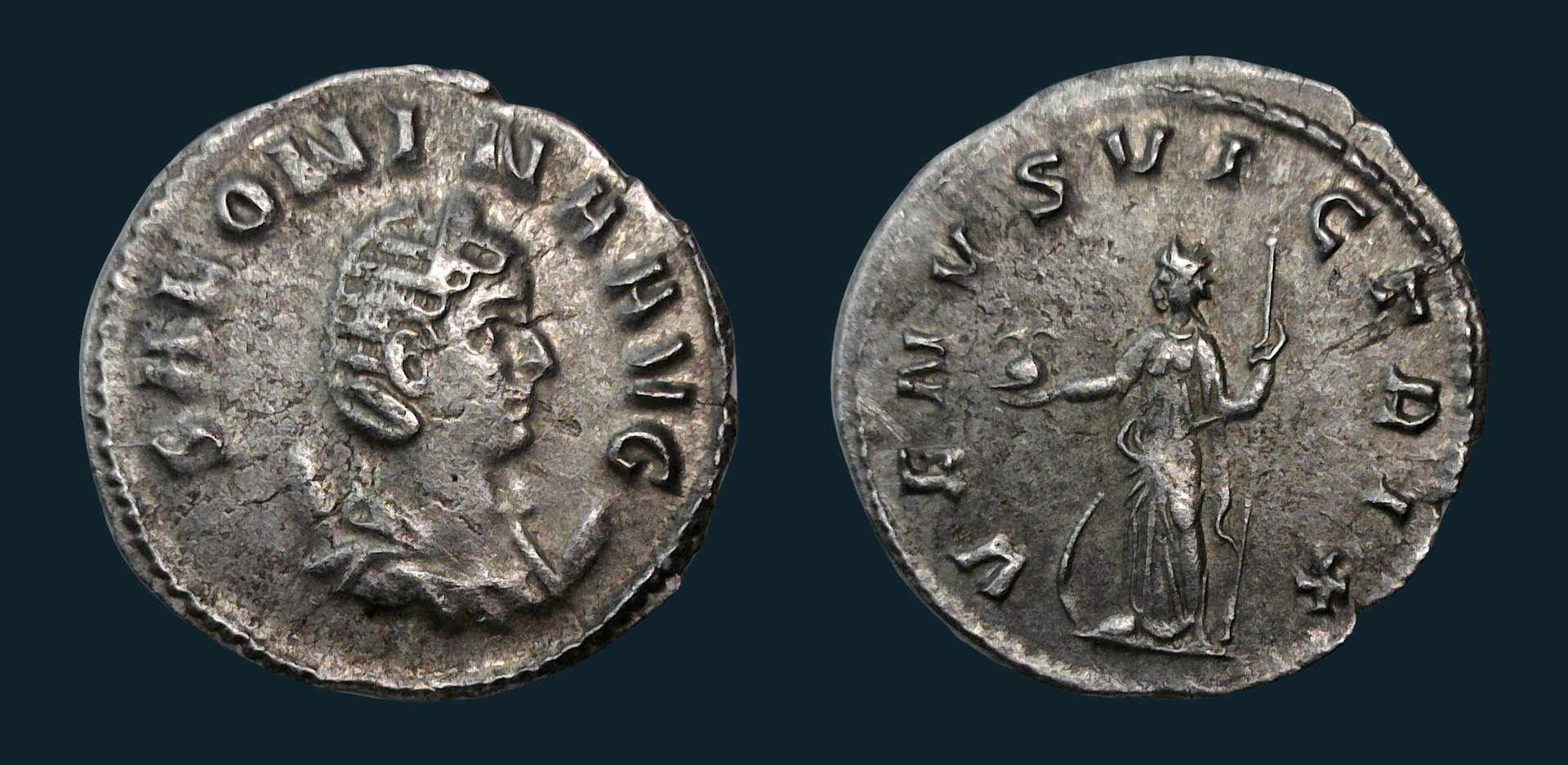 Salonina Venus Blu.jpg