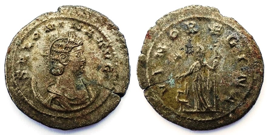 Salonina VINO REGINA Antioch.jpg
