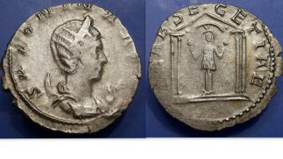 Salonina5.jpg