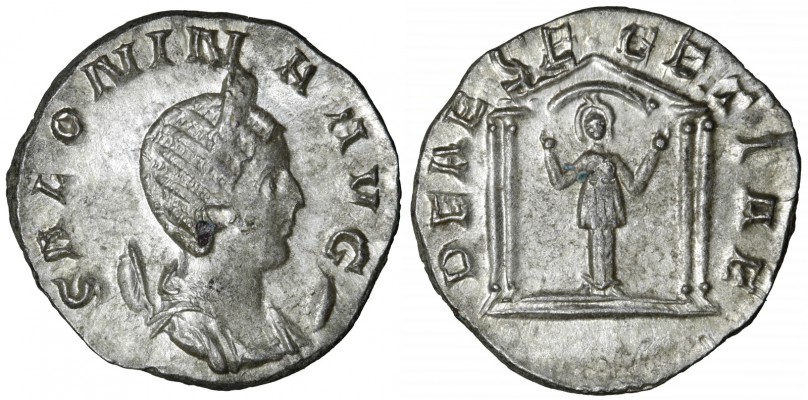 Salonina_R700.jpg