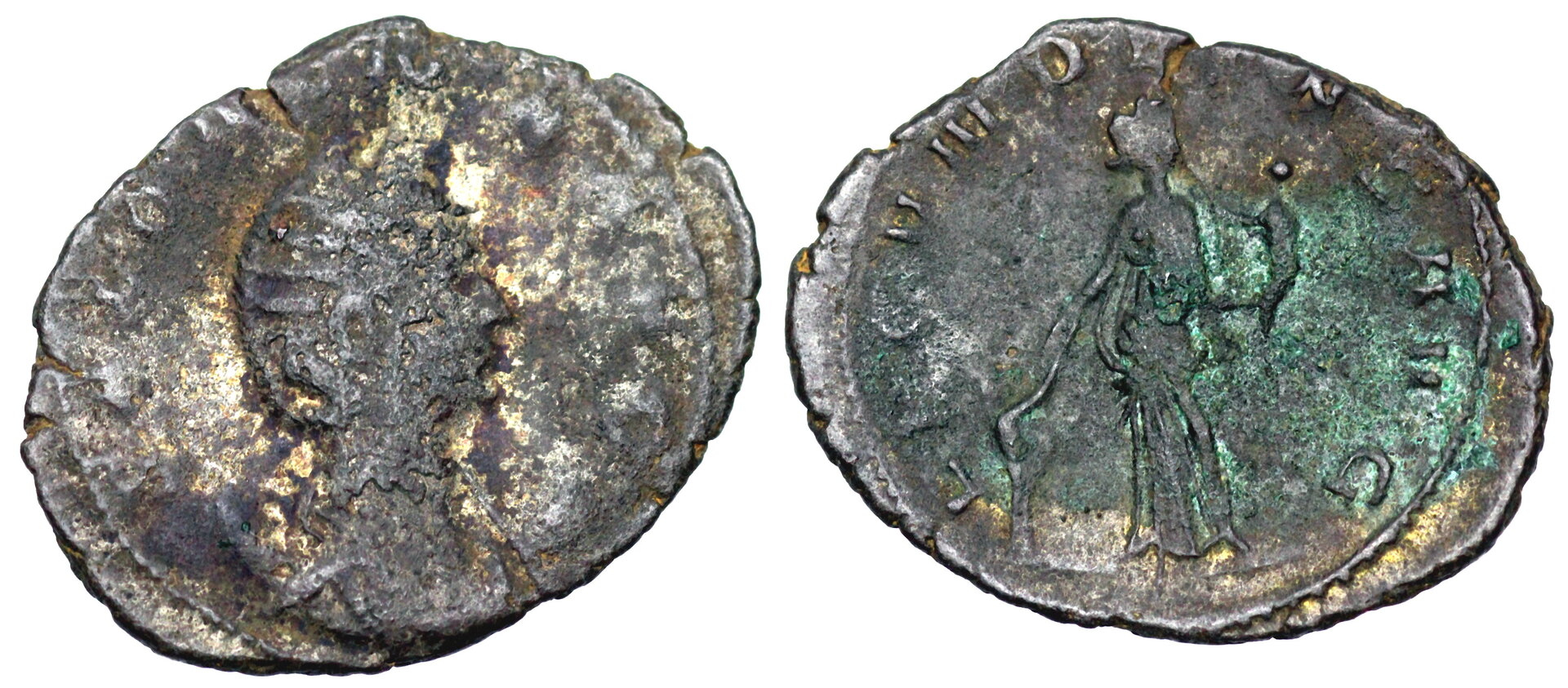 Salonina_Rome26.JPG