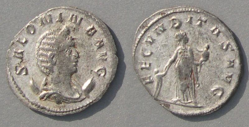 SaloninaFEC.jpg