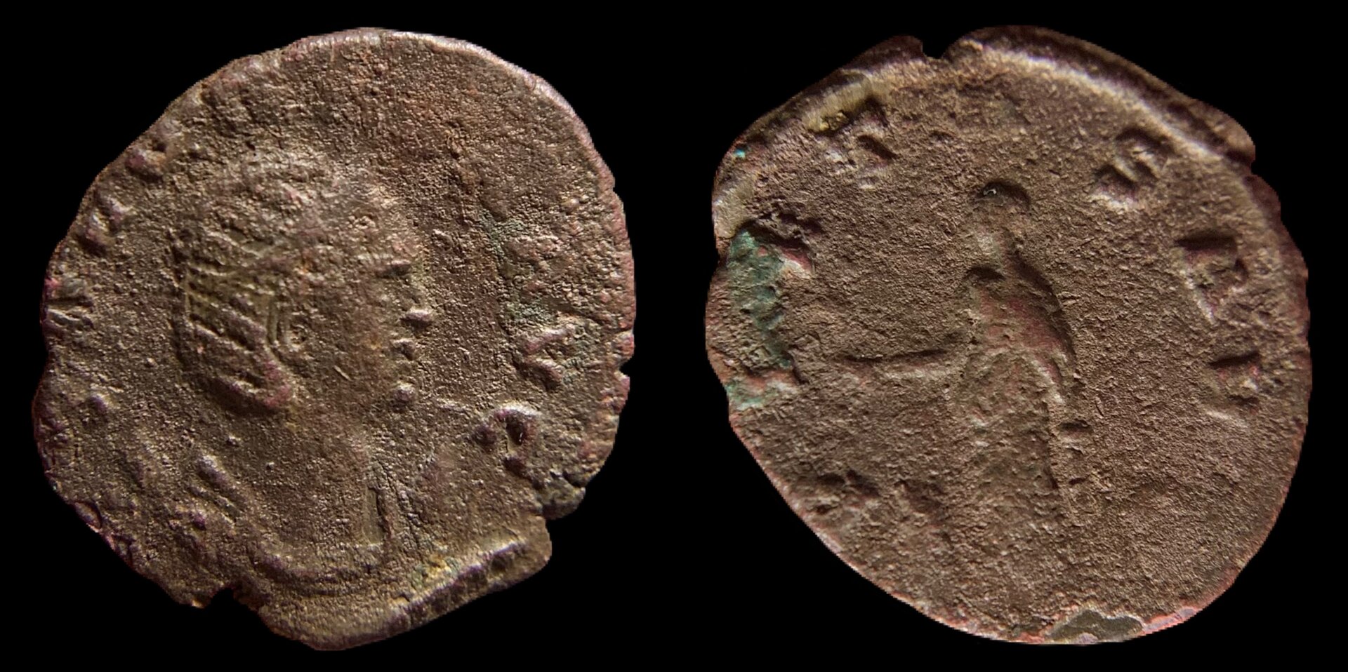SaloninaSisciaRICV-1-79.JPG