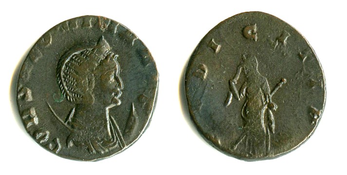 Salonine 1.jpg