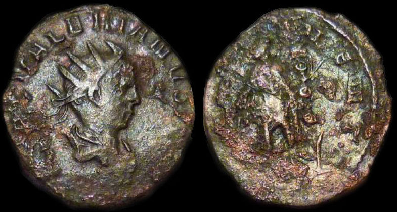 Saloninus 1.jpg