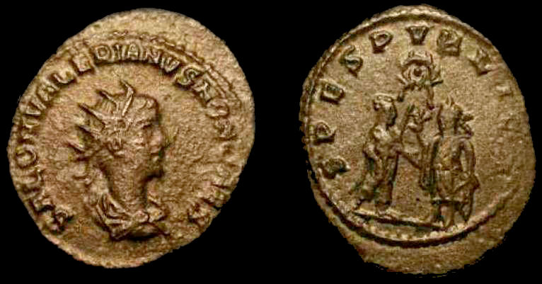 Saloninus 2.jpg