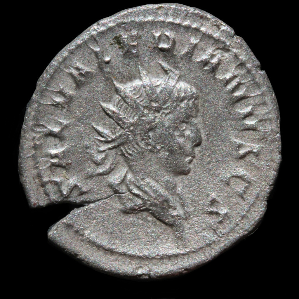 Saloninus 20150031 obv.png