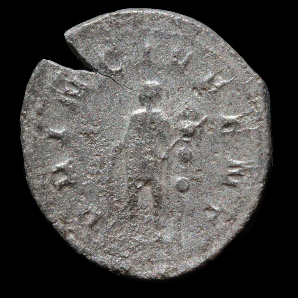 Saloninus 20150031 rev.png