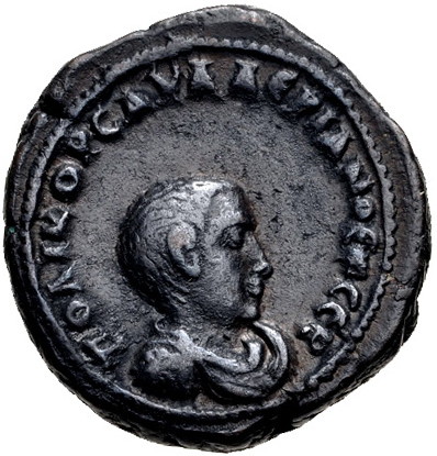 saloninus a.jpg