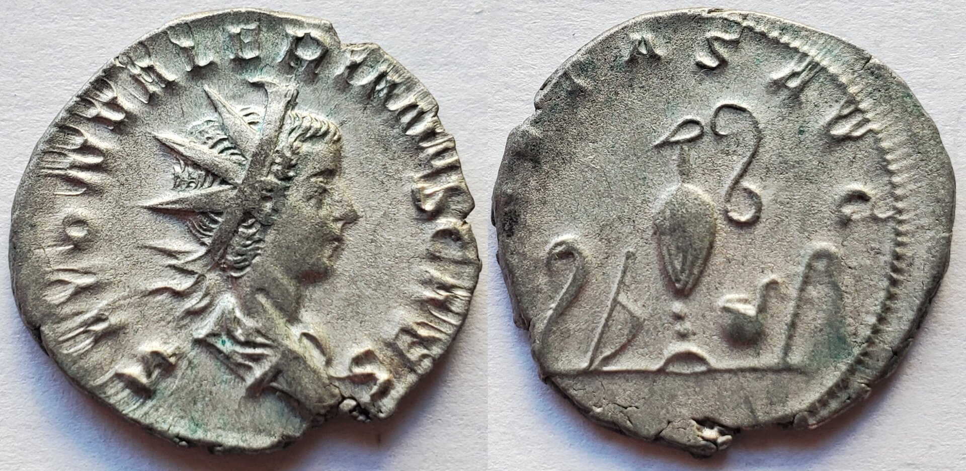 Saloninus Caesar PIETAS AVG priestly implements cologne.jpg