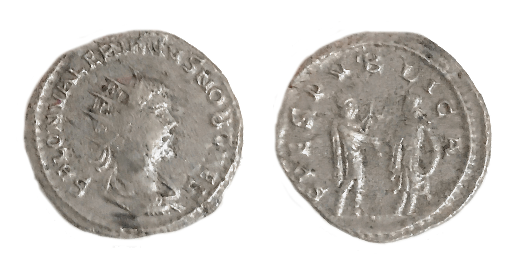 Saloninus.jpg